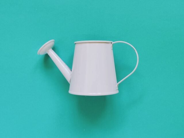 How To Design A Minimalist Garden