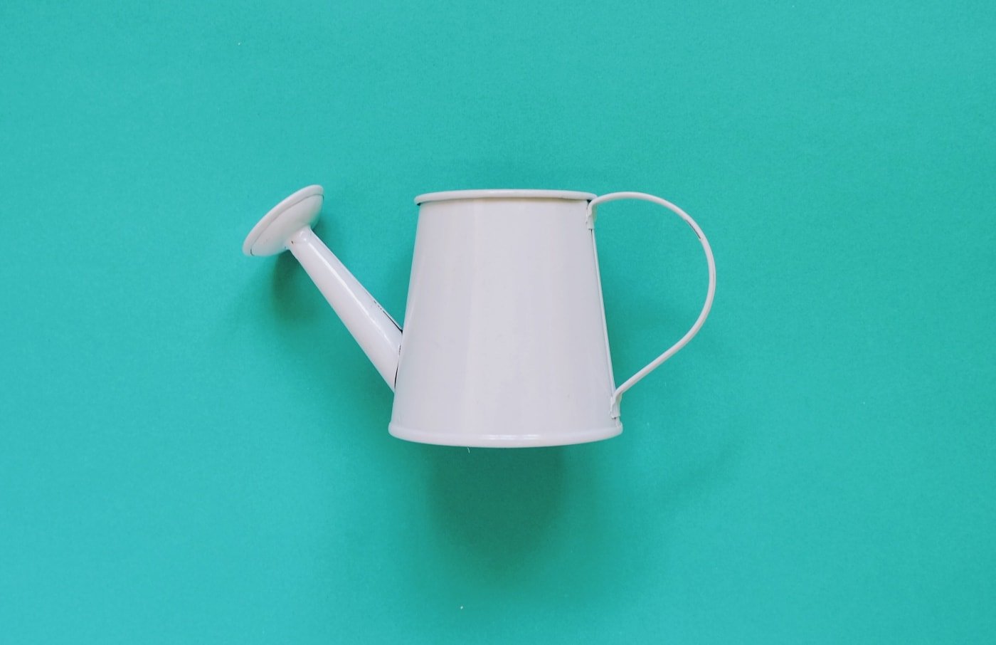 How To Design A Minimalist Garden